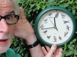 De zintuigentuin - Cees Verkerke met klok