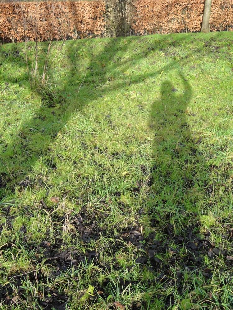 het kleine groot - de zintuigentuin - heerhugowaard