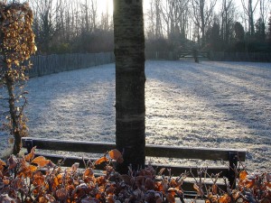 De natuur doet het voor - zintuigen