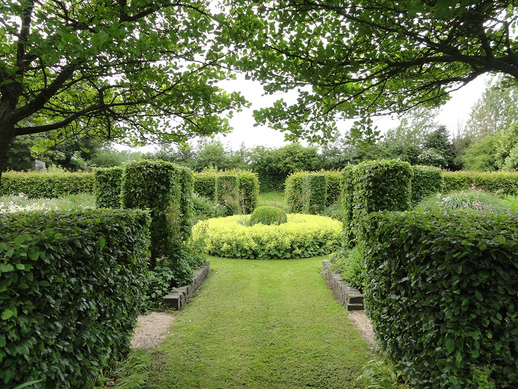 Vrouwenmantel - De Zintuigentuin - Heerhugowaard