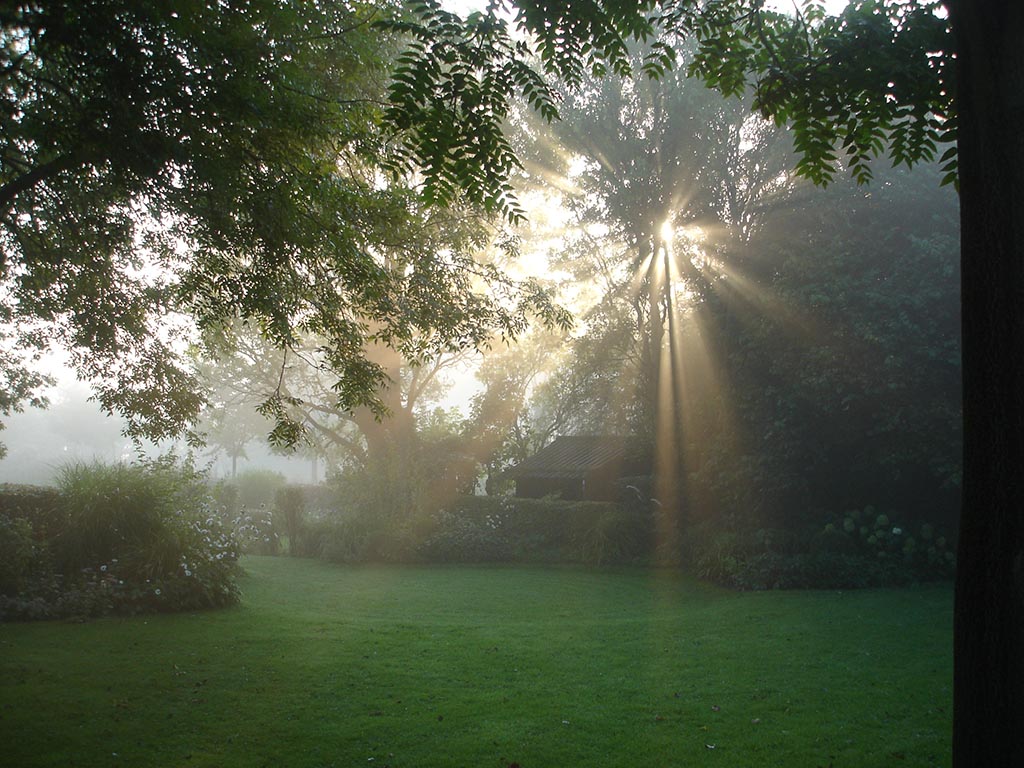 septemberlicht - Zintuigen - Heerhugowaard