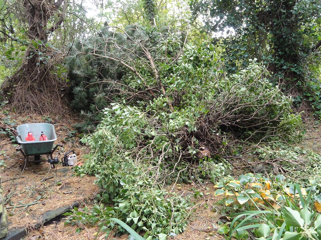 Ziedende Storm 2013 - Zintuigen - Heerhugowaard