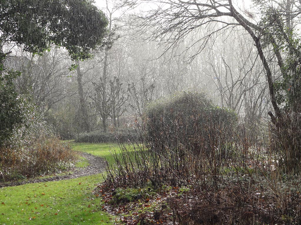 Schoonheid van regen - ZinTUIgeN - Heerhugowaard