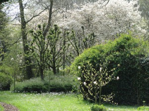 Lentetuin - ZinTuigen - Heerhugowaard