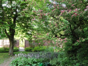 Lente - Zuintuigen - Heerhugowaard (52)