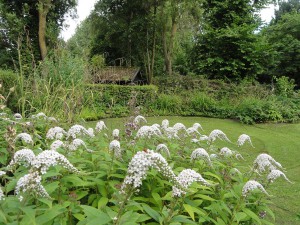 Nazomer - De ZintuigenTuin - Heerhugowaard