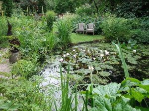 Nazomer - De ZintuigenTuin - Heerhugowaard