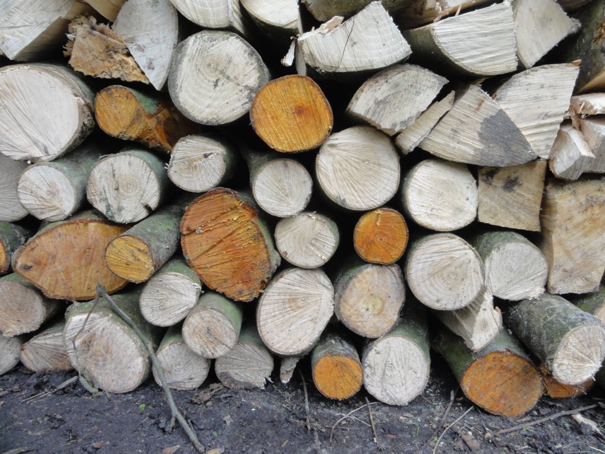 Hout
