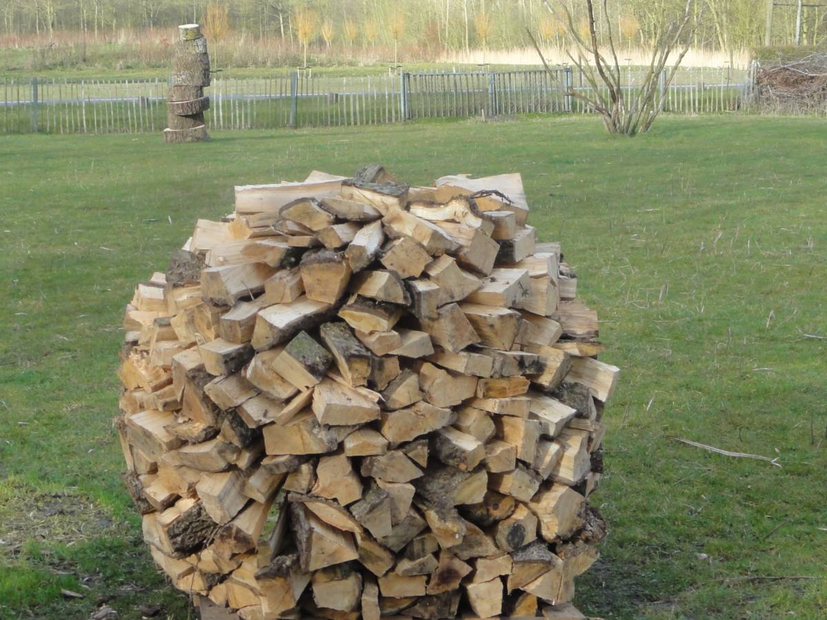 Lente