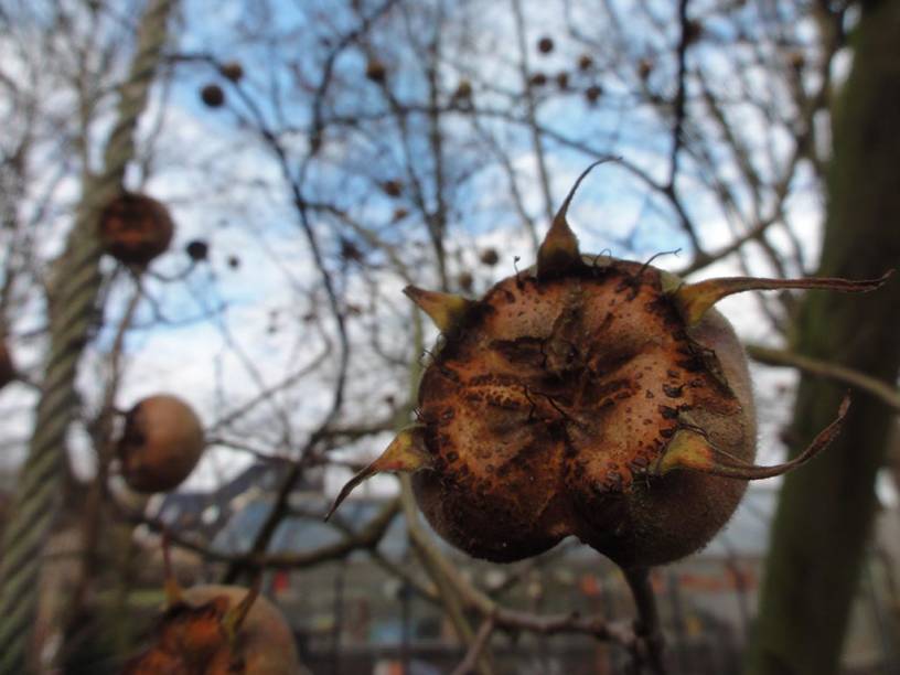 Kerstballen