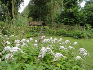 Tuin Zintuigen